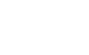 fallensymmetrylog